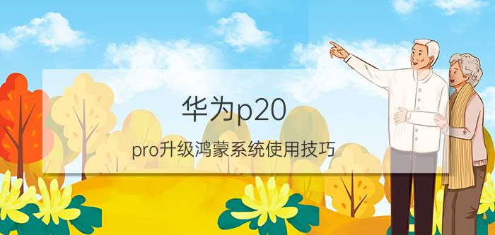 华为p20 pro升级鸿蒙系统使用技巧 华为p20p为啥不能升级鸿蒙系统？